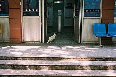 传大锤开发《使命召唤：高级战争2》 2025年发售